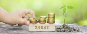 ULFAH الأخبار 13