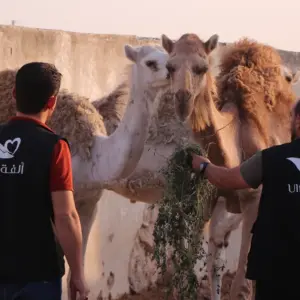 حملة التضحيات من أجل المحتاجين